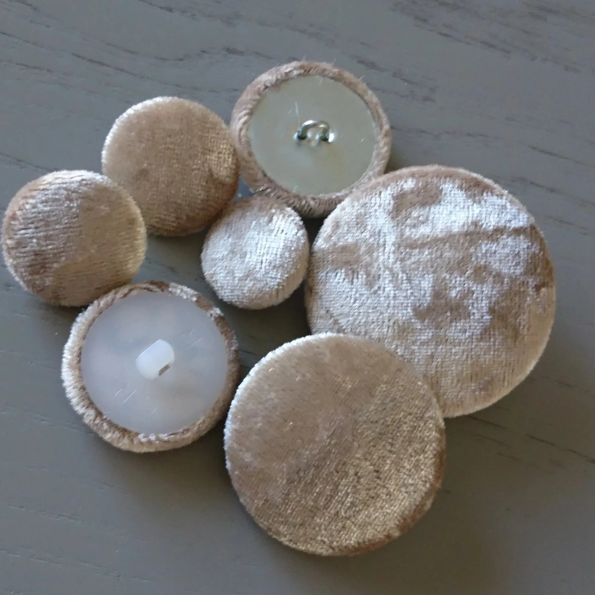 Champagne Velvet Buttons