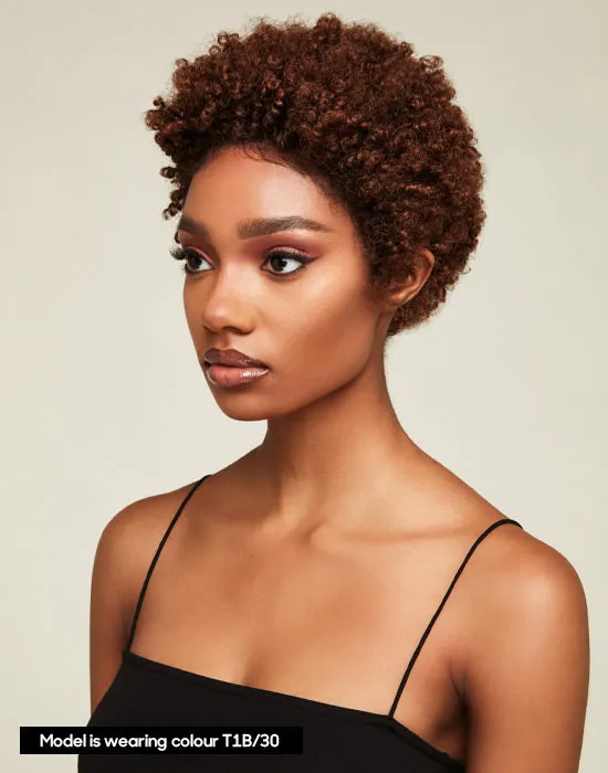 Feme Afro Lace Wig - Classic Kinks