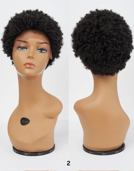 Feme Afro Lace Wig - Classic Kinks