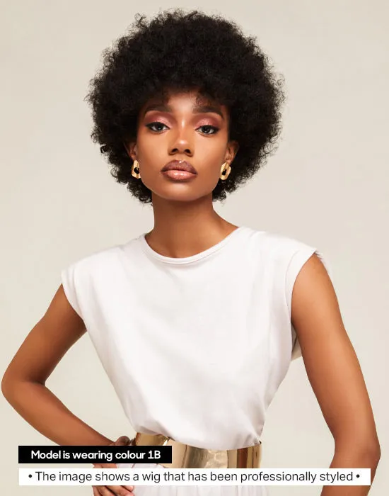 Feme Afro Lace Wig - Jumbo Coiled Pixie