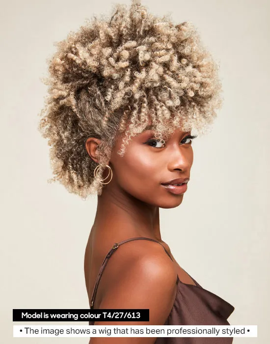 Feme Afro Lace Wig - Loose Twist Out