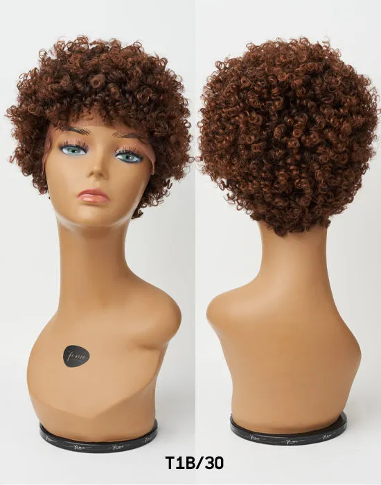 Feme Afro Lace Wig - Soft Natural Curl