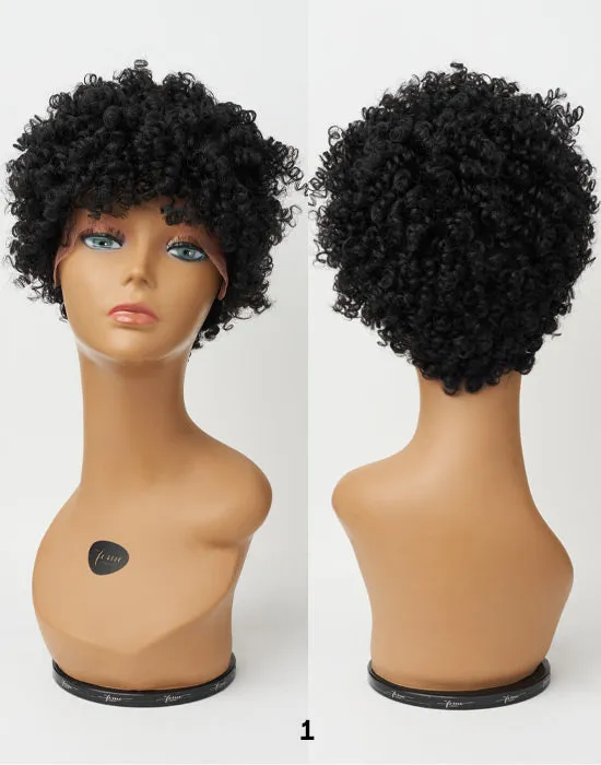 Feme Afro Lace Wig - Soft Natural Curl