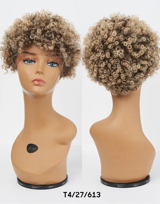 Feme Afro Lace Wig - Soft Natural Curl