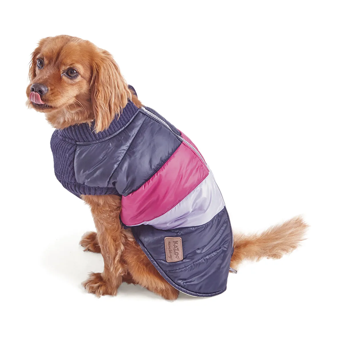 Vovo Dog Puffer Jacket - Berry