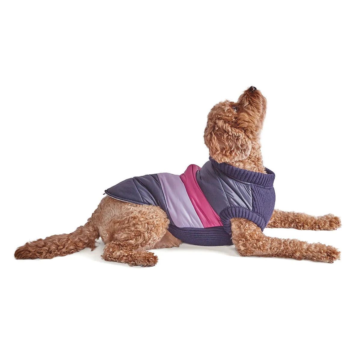 Vovo Dog Puffer Jacket - Berry