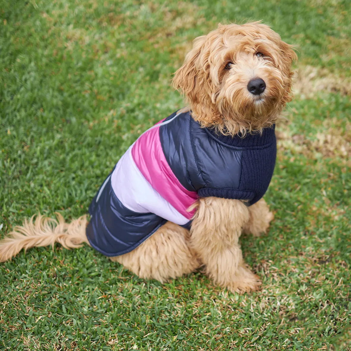 Vovo Dog Puffer Jacket - Berry